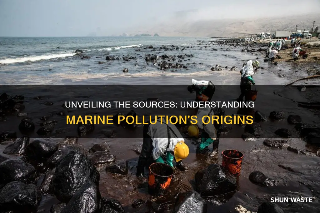 how is marine pollution caused