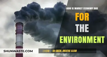 Market Economy's Environmental Toll: Unsustainable Practices and Planetary Consequences