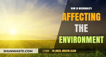 McDonald's Environmental Impact: Fast Food's Hidden Costs on Our Planet