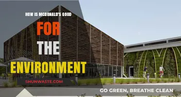 McDonald's Eco-Friendly Practices: Sustainable Steps for a Greener Future