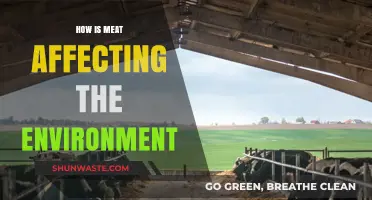 Meat's Environmental Impact: Uncovering the Hidden Costs of Consumption
