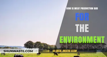 Meat Production's Environmental Impact: A Growing Global Concern