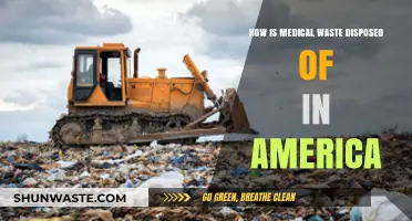 Safe Medical Waste Disposal Practices in the United States