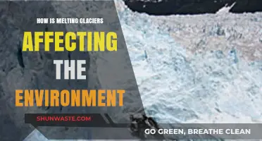 Melting Glaciers: Unraveling the Environmental Impacts and Consequences