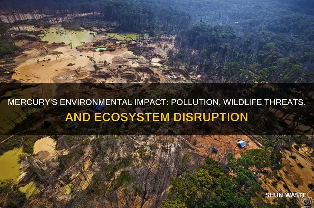 how is mercury affecting the environment
