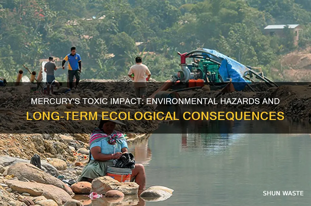 how is mercury bad for the environment