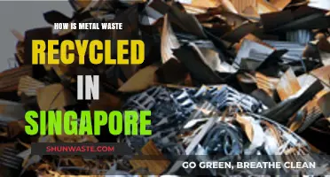 Singapore's Metal Waste Recycling: Sustainable Practices and Processes Explained