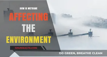 Methane's Environmental Impact: Uncovering Its Role in Climate Change
