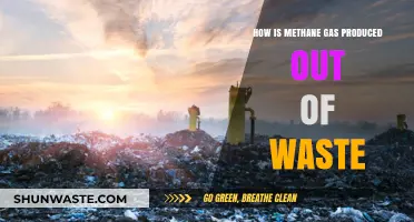 Transforming Waste into Methane: Sustainable Gas Production Explained