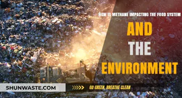 Methane's Impact: Food Systems, Environment, and Climate Change Challenges