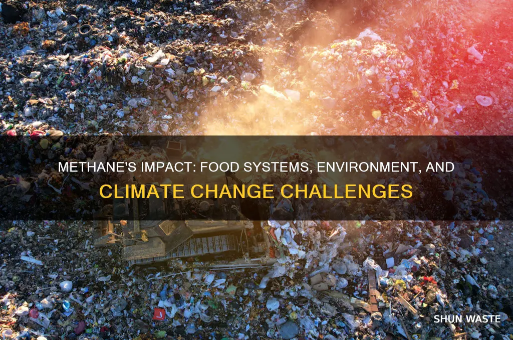 how is methane impacting the food system and the environment