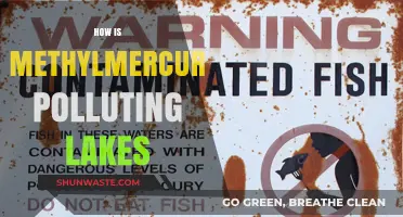 Methylmercury Menace: Polluting Lakes, Threatening Ecosystems