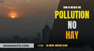 Mexico's Air Pollution: No Hay Fresco Air?