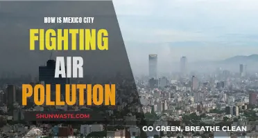 Mexico City's Battle Against Air Pollution