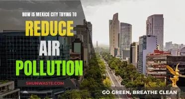 Mexico City's Fight Against Air Pollution