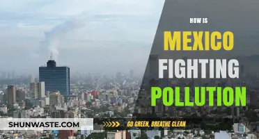 Mexico's Battle Against Pollution: Strategies and Initiatives
