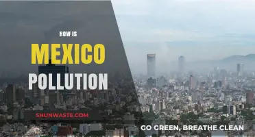 Mexico's Pollution: A Troubling Reality