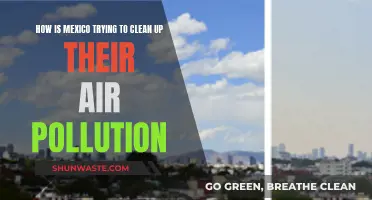 Mexico's Fight Against Air Pollution: Strategies and Challenges