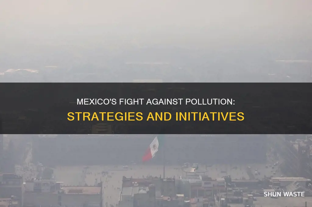 how is mexico trying to reduce pollution