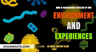 Environment, Experiences, and Microbiome: Unraveling the Complex Interplay