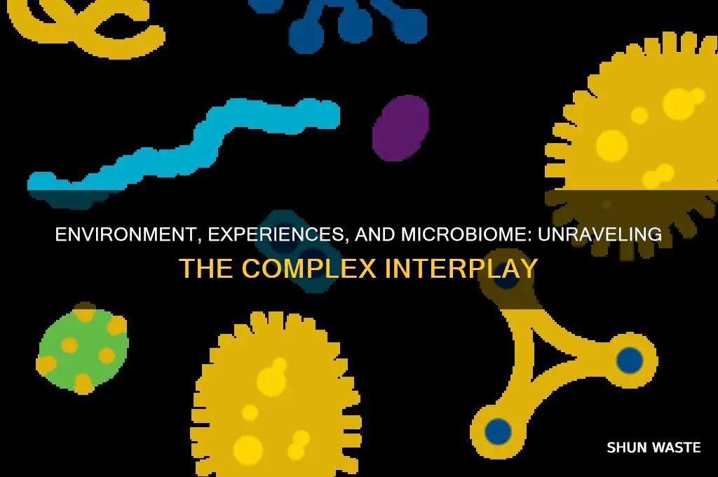 how is microbiome affected by our environment and experiences