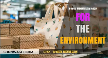 Minimalism's Eco-Impact: Sustainable Living for a Greener Planet