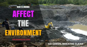 Mining's Environmental Impact: Exploring the Devastating Effects on Our Planet
