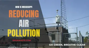 Mississippi's Fight Against Air Pollution: Strategies and Initiatives