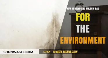 Mold and Mildew's Environmental Impact: Harmful Effects and Solutions