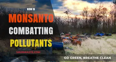 Monsanto's Fight Against Pollutants: Strategies and Innovations