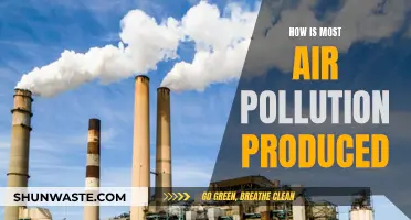 The Air We Breathe: Sources of Pollution