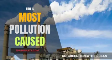 Unveiling the Hidden Sources of Pollution: A Comprehensive Guide