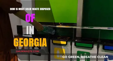 Georgia's Solid Waste Disposal Methods: Landfills, Recycling, and Beyond