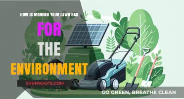 Lawn Mowing's Hidden Costs: Environmental Impact and Greener Alternatives