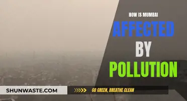 Mumbai's Pollution Plight: Impact and Concerns