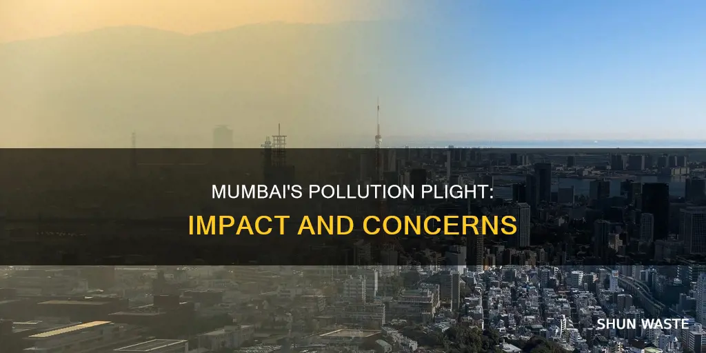 how is mumbai affected by pollution