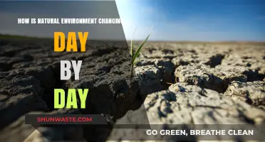 Daily Shifts: How Our Natural Environment is Rapidly Evolving