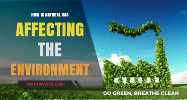 Natural Gas Impact: Environmental Consequences and Sustainability Challenges Explored