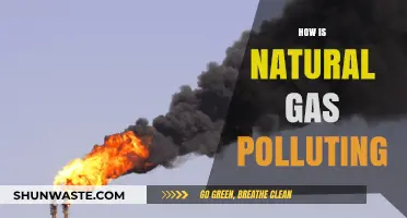 Natural Gas: A Polluting Power Source