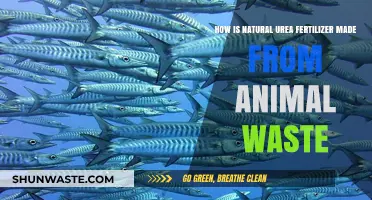 Transforming Animal Waste into Natural Urea Fertilizer: A Sustainable Process