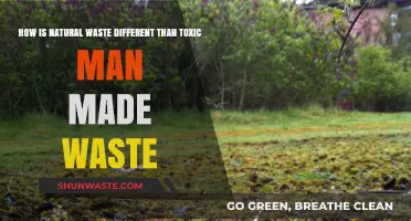 Natural vs. Man-Made Waste: Key Differences and Environmental Impacts