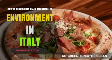 Neapolitan Pizza's Environmental Impact: A Slice of Italy's Sustainability Challenge
