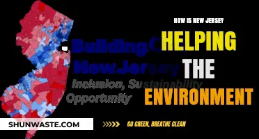 New Jersey's Green Initiatives: Leading Environmental Change and Sustainability