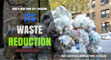 NYC's Waste Reduction: Tracking Progress and Strategies for a Greener City