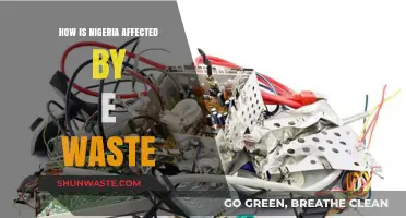 Nigeria's E-Waste Crisis: Environmental and Health Impacts Explored
