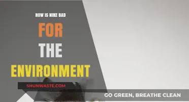 Nike's Environmental Impact: Uncovering the Brand's Ecological Footprint