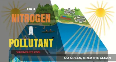 Nitrogen's Pollution Paradox: Too Much of a Good Thing