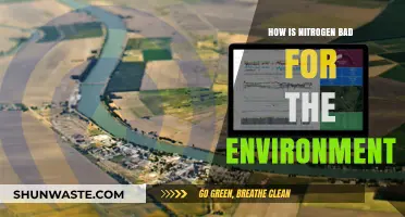 Nitrogen's Environmental Impact: Pollution, Climate Change, and Ecosystem Disruption Explained