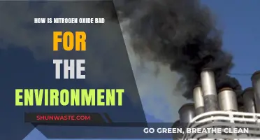 Nitrogen Oxide's Environmental Impact: Harmful Effects and Solutions