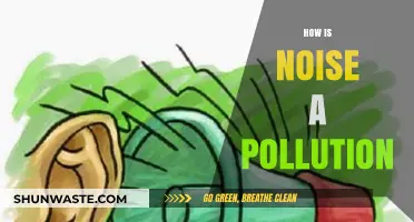 Noise: A Harmful and Distracting Form of Pollution
